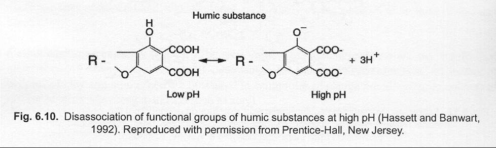 Humic Substance