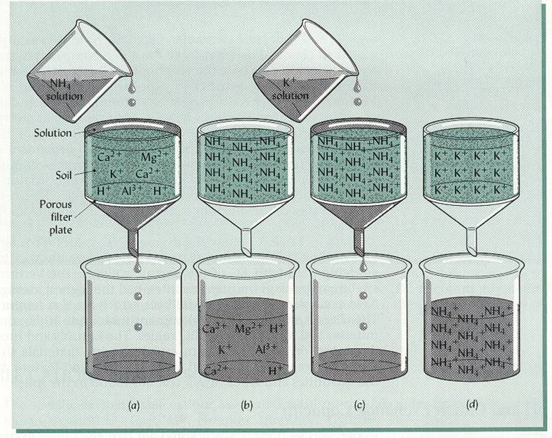 Methode