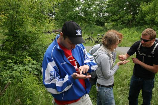 Bestimmung de Bodenart im Gelände