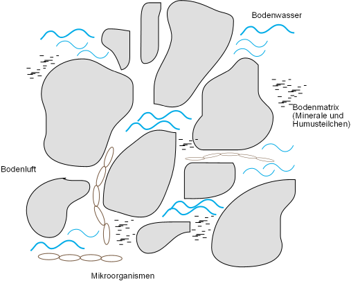 Bodenmatrix