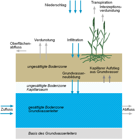 Bodenwasserhaushalt