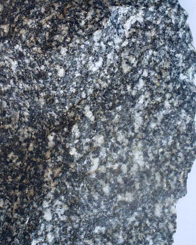 Nahaufnahme Gabbro